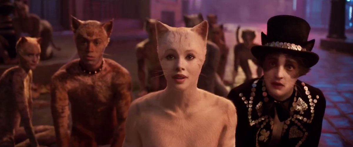 Filme de gatos - Os gatos