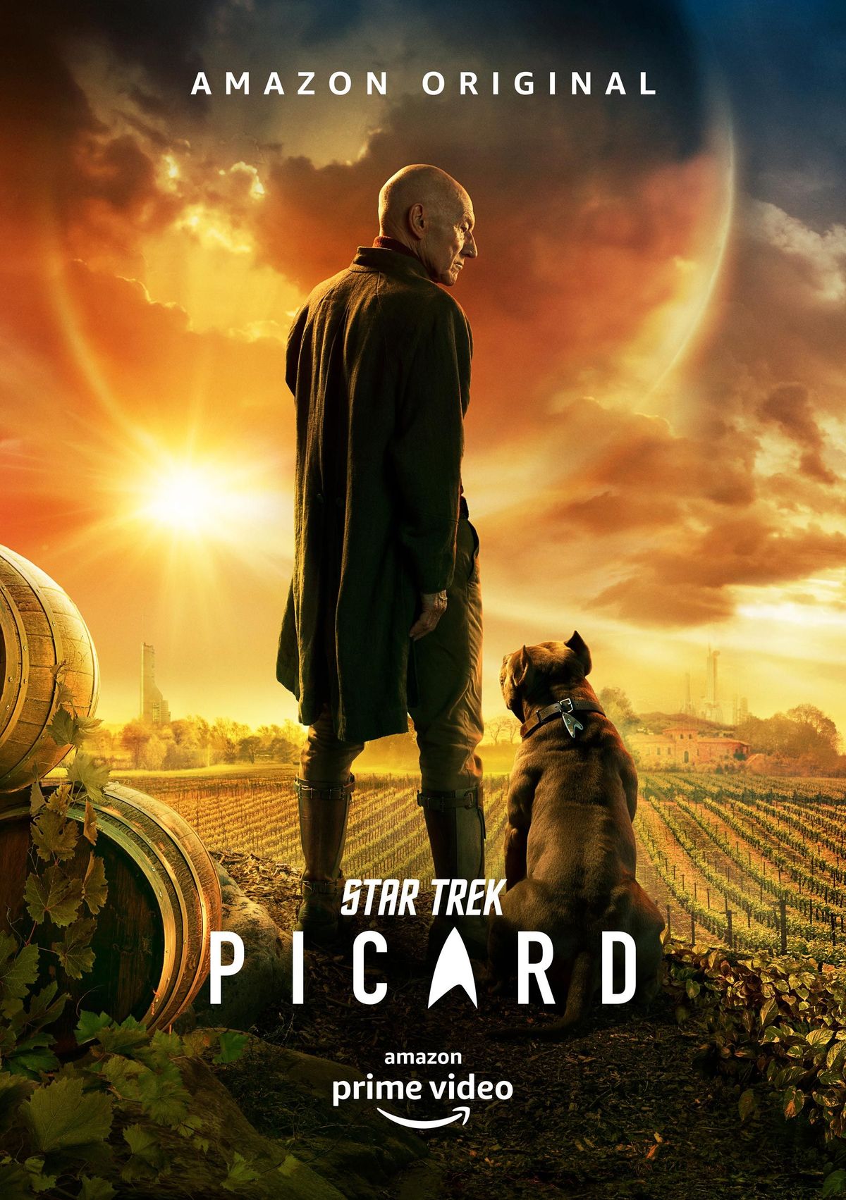 poster star trek picard